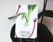 Three Praying Mantis Postcards, quotation on back, 4 in x 6 in, silky smooth cardstock