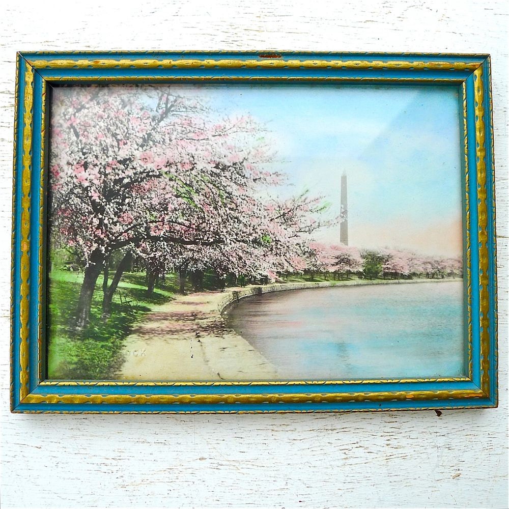Vintage Cherry Blossoms Washington Monument Framed Print
