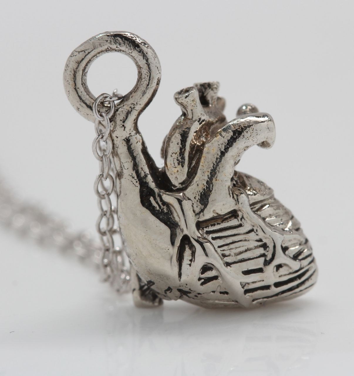 Tiny Anatomical Heart Necklace  in white bronze  on a  silver chain, Made in NYC