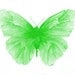 green butterfly watercolor archival print 8" x 10"