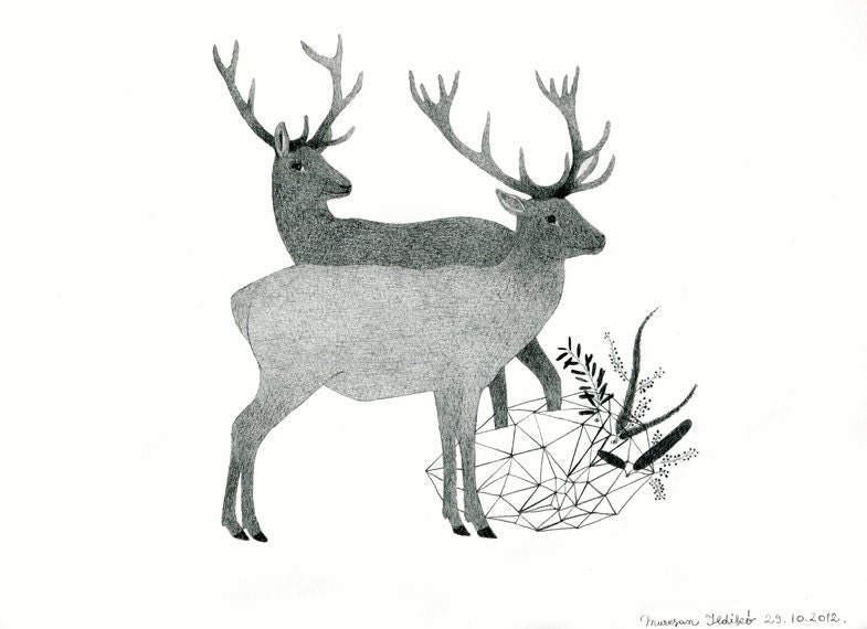Pencil Drawings