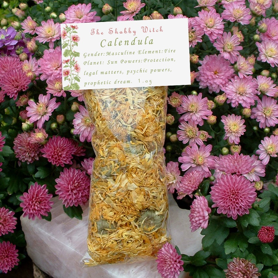 Calendula
