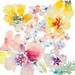 Petal Expressions, Watercolor Flowers, Fine Art Print 8.5x11