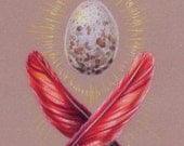 Cardinal Egg & Feathers Illustration 5"x7" Giclee Mini Print - "Stately Bits"