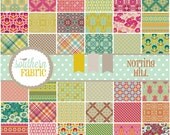 Notting Hill  by Joel Dewberry 30- 5  INCH Quilting Fabric Squares for Free Spirit  FB6CPJD.32012