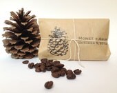 Wedding Favors, Coffee Favors, Set of 30 w/ CUSTOM STAMP. Made to Order by Apropos Roasters