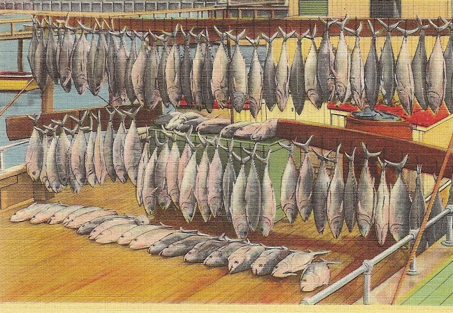 Fish Catch at Seashore Vintage Linen Postcard Fishing Theme Seaside Fish Hanging on the Dock