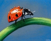 Lady Bug - Matted 8x10 Watercolor print - Pastel Drawing, ladybug, spots, dots, droplets - Day 179 Print