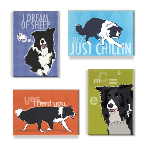 Border Collie Magnet Four Pack - Dog Magnet Gift Set