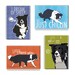 Border Collie Magnet Four Pack - Dog Magnet Gift Set