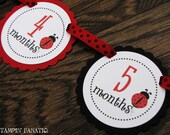 Red and Black Little Ladybug Collection Just Born/0-12 mos Banner with clips. First Birthday Photo Banner. Picture Banner. Il_170x135