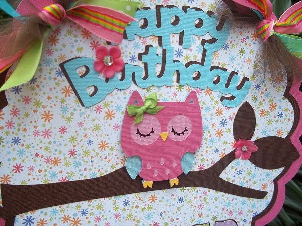 Owl Happy Birthday DOOR SIGN in bright colors