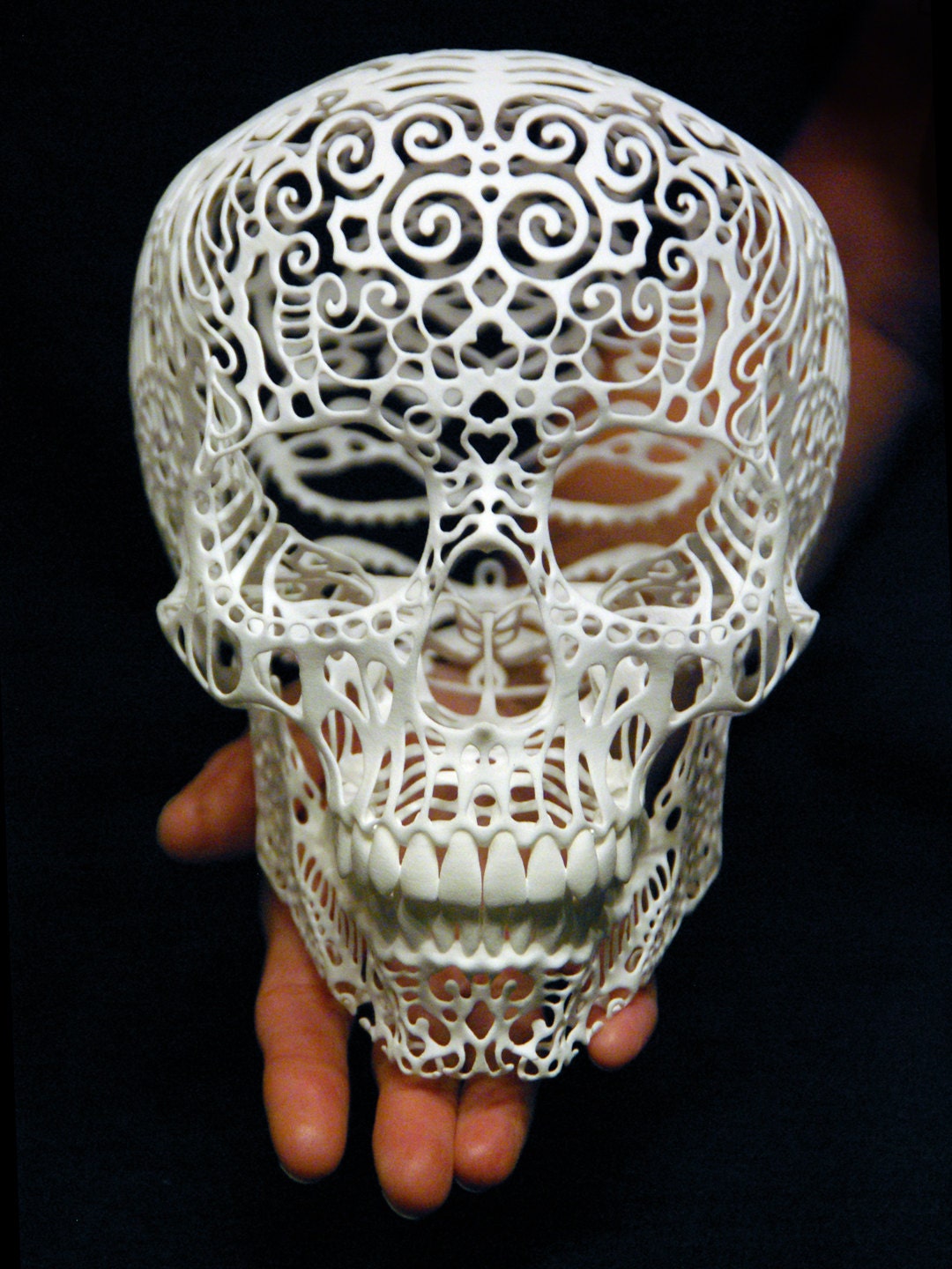 Skull Sculpture Crania Anatomica Filigre (large)