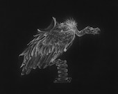 SALE 5x7 White Charcoal Inverted Apocalyptic Vulture Spring Rider Macabre Playground Drawing Signed Lustre Print