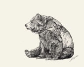 BEAR GRAPHITE // A3 print