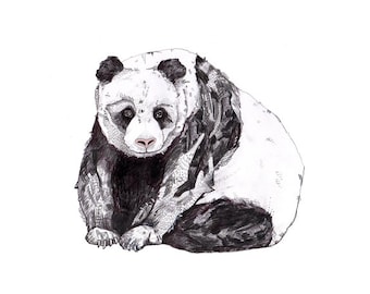 Panda // A4 print