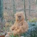 Sasquatch Handmade Huggable- Made to Order- Teetoo