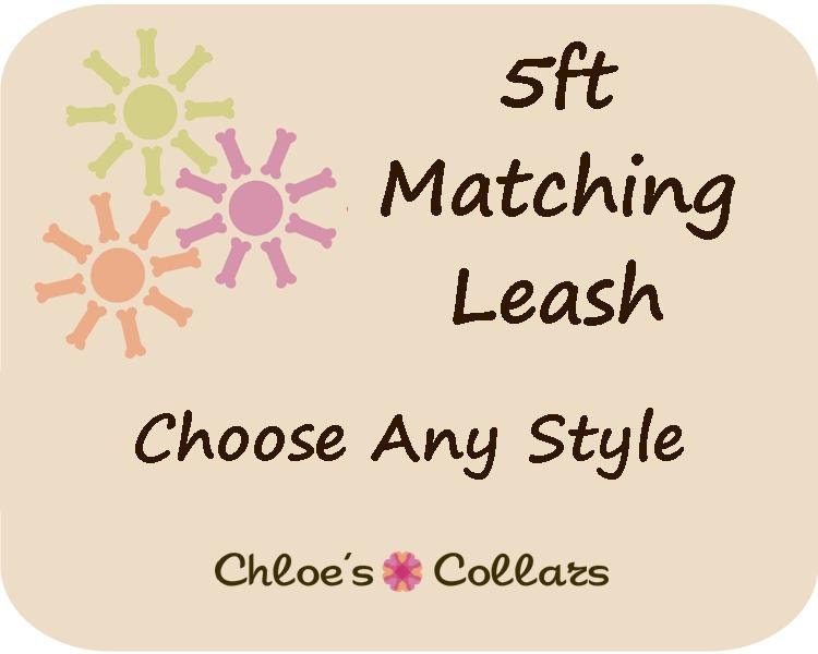 5ft Dog Leash- Choose Your Matching Style
