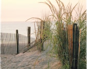 Sale, April Special, Fine Art Photography, Coastal Home Decor, Beach Photography, Dawn, Beach Grass, Sand, Sea, Print