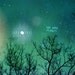 We Are Magic 8x10 / Landscape Nature Photo, Custom Wedding Art Poster, Valentines, Anniversary, Romantic Decor, Fantasy, Night Sky, Stars