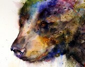 BLACK BEAR Extra Large Watercolor Print by Dean Crouser
