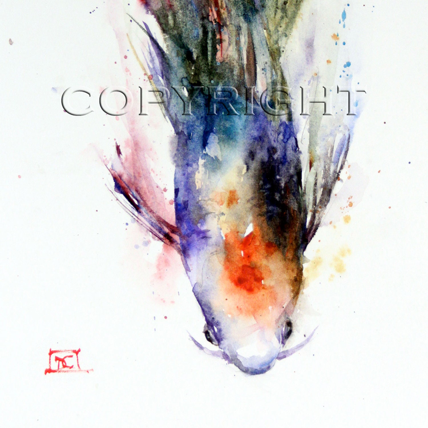 KOI Watercolor Print by Dean Crouser