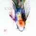 KOI Watercolor Print by Dean Crouser