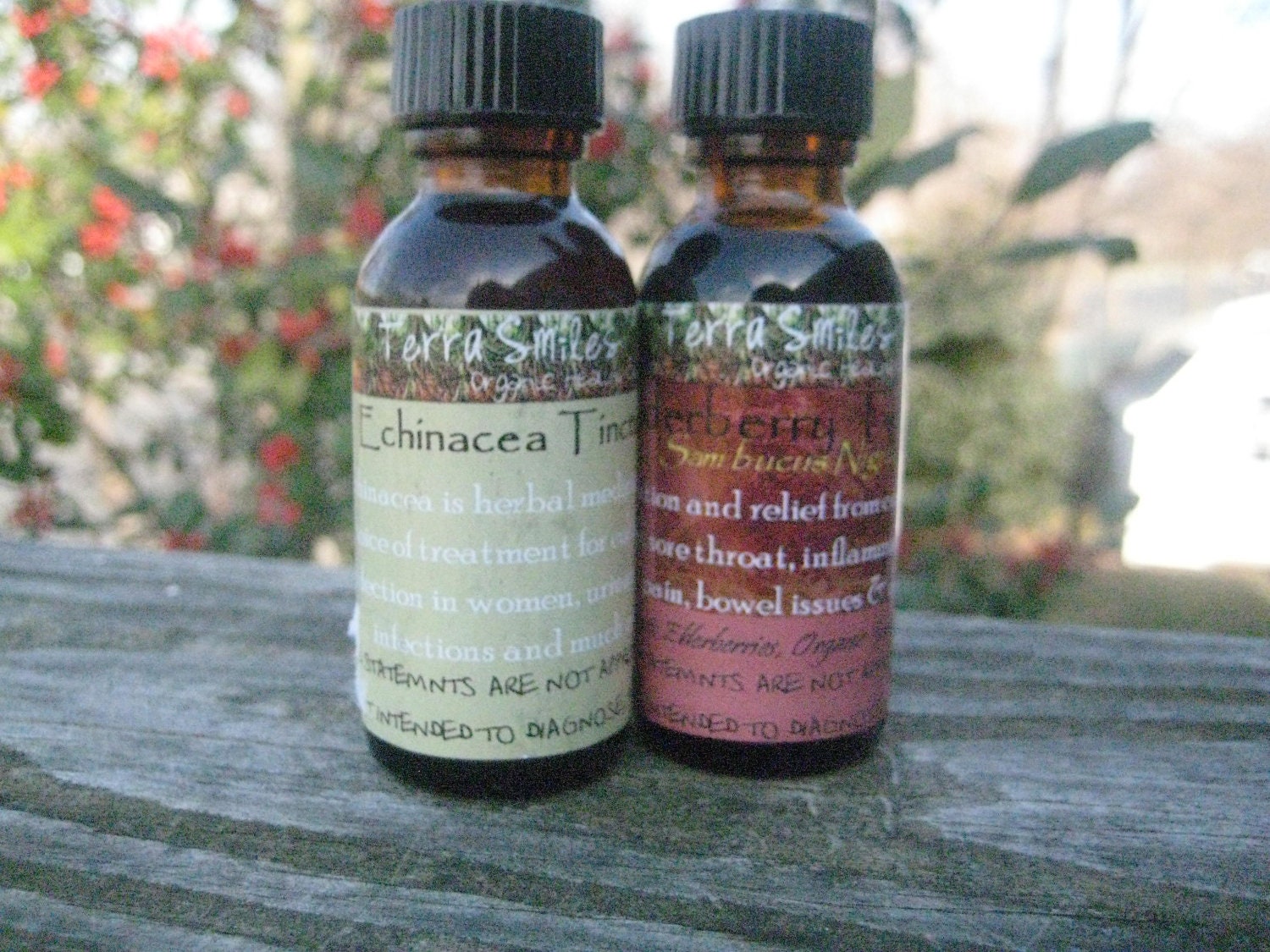 Elderberry and Echinacea Tincture