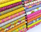 Lucky Penny 27 Fat Quarter Bundle by Alison Glass COMPLETE