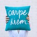 Carpe Diem 12x12 inch Teal and White Pillow