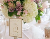 Table Numbers / Wedding Table Numbers / Wedding Table Cards / Table Cards / Gold Shimmer