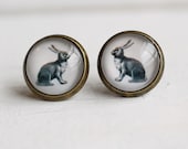 Rabbit Earrings ... Bunny Rabbit Hare Vintage Illustration Stud Posts