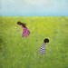 Field of summer - Largest size (A3, 11.7" x 16.5")