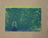 Fan Feathers Peacock Screenprint