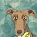 dog with yellow flower print