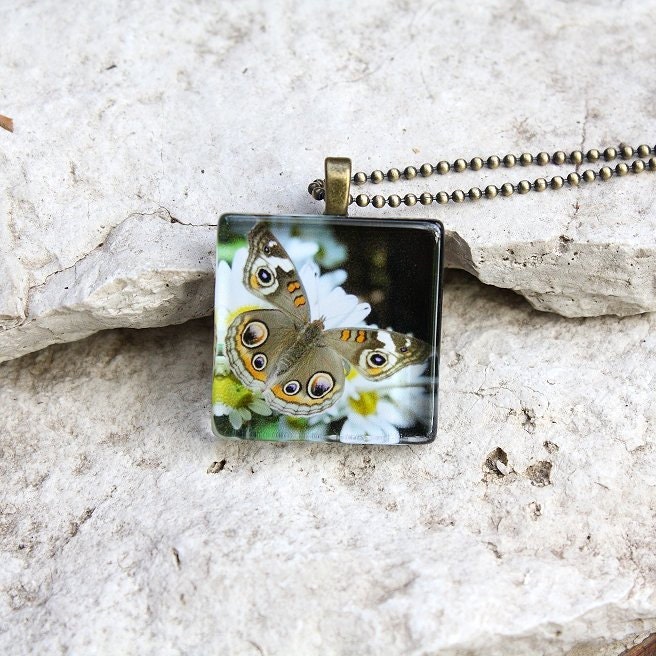 Glass Photo Pendant Necklace Common Buckeye Butterfly