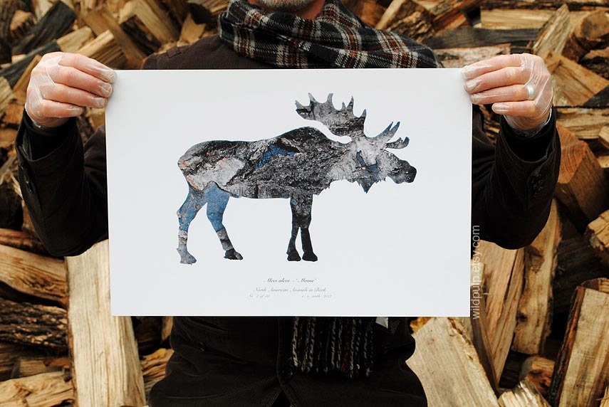 Moose Silhouette In Bark, Wall Art Decor : Woodland Animal Photography - Rustic Lodge & Home, Natural Boys Room, Nursery