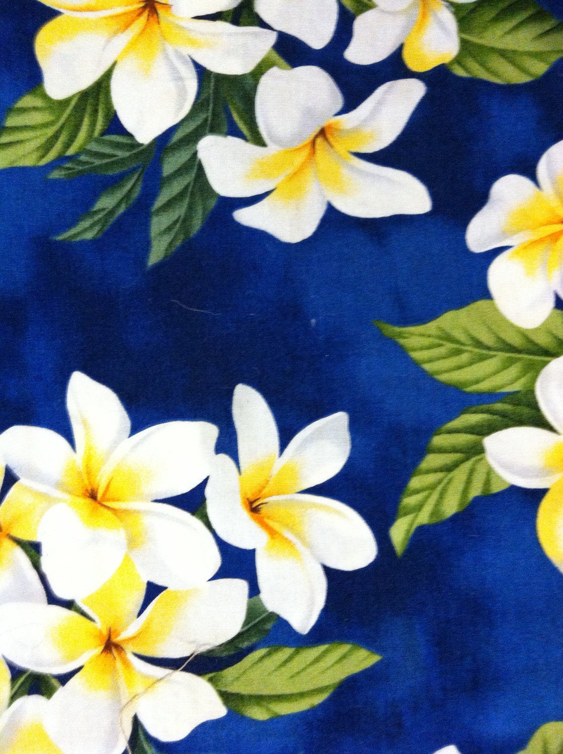 Fabric: white flowers