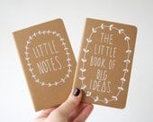 Little Notes AND The Little Book of BIG Ideas - Pair of hand illustrated Moleskine Journals