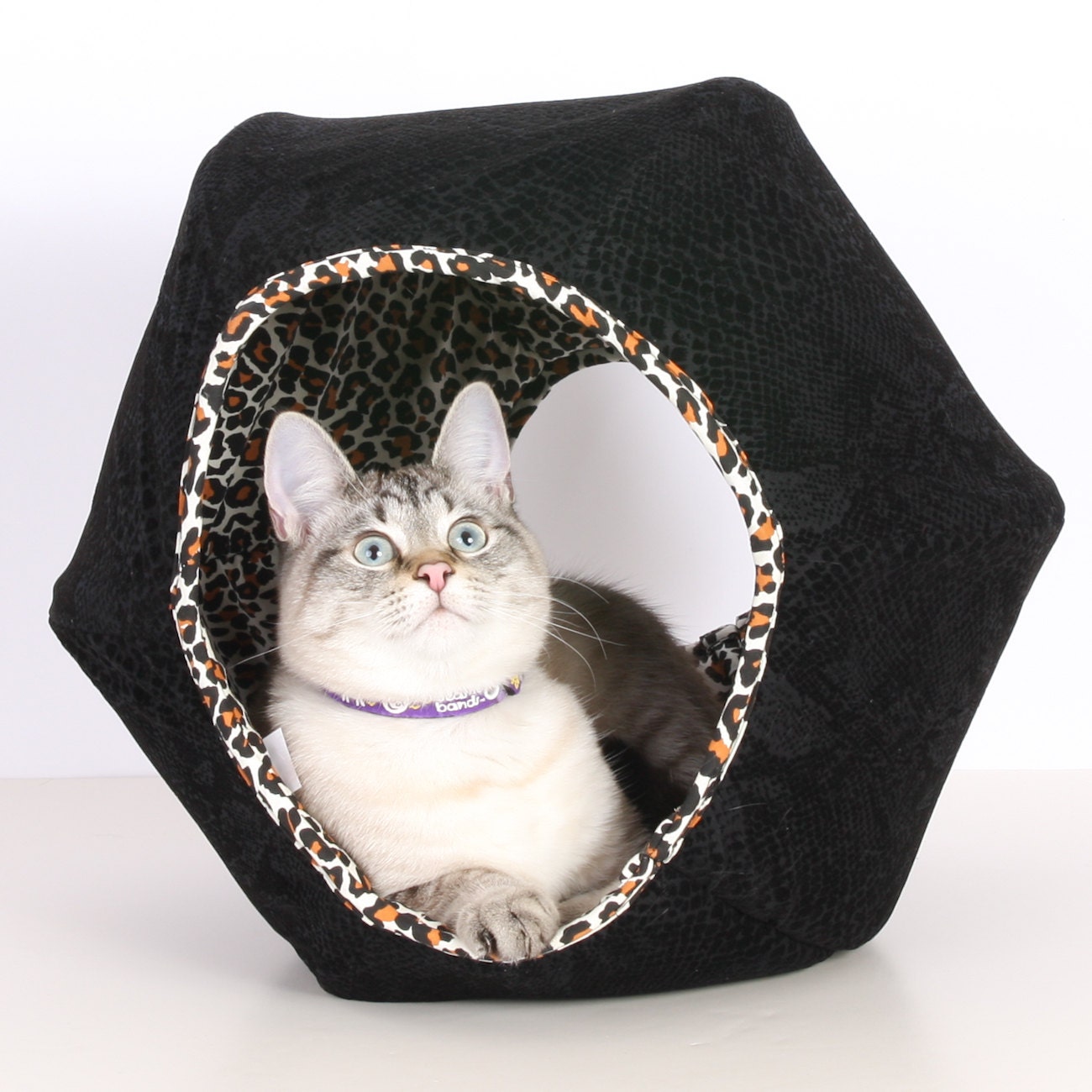 Cat Ball Modern Leopard and Black Kitty Cave Bed