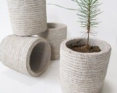 Hand-Carved Stone Planter