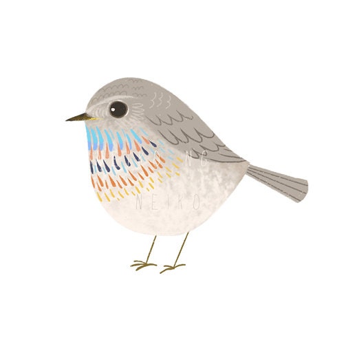 One 4 X 4 Bird Print, ( 6 different birds to choose from ) Bird illustration art print