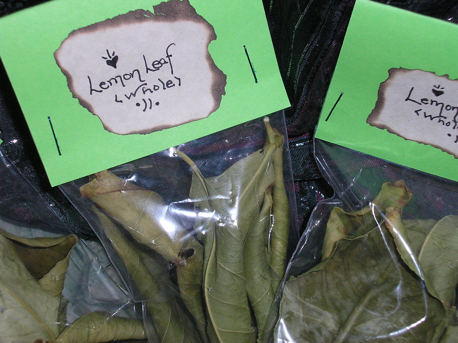 Lemon Leaf