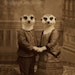 Meerkat Art, Mixed Media Collage Print, The Meerkats, Sepia Altered Antique Childrens Portrait, frighten