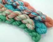 Mini Skein set of 5: Tweed Sock Weight  Yarn  Retro Southwest