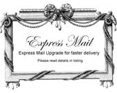 Express Mail Expedited Shipping-Overnight Delivery