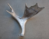Aluminum gilded moose antler