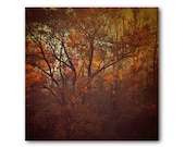 Orange Tree Photo,  tree print, fall, foliage, forest, nature, landscape, brown, home decor, dramatic landscape