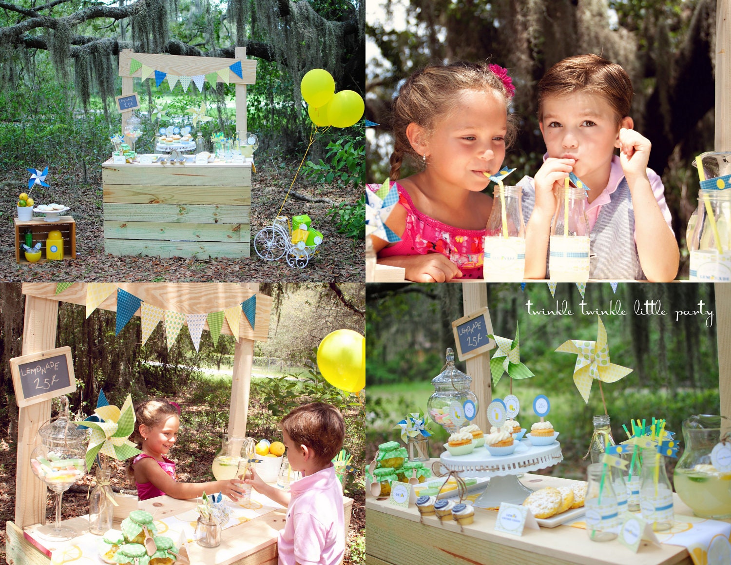 Lemonade Stand Party Boys and Girls As seen on Hostess with the Mostess