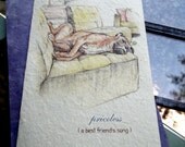priceless ( a best friend's song ) dog love